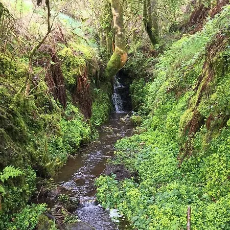The Old Granary At Little River Drumshanbo