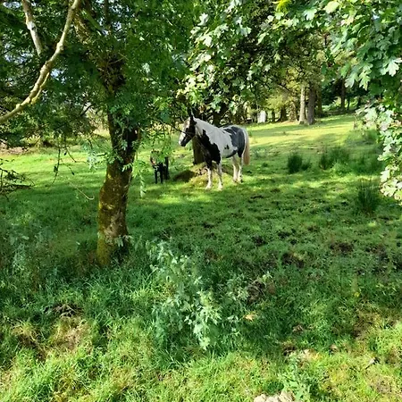 The Old Granary At Little River * Drumshanbo